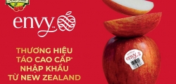 12 giá trị tuyệt vời của Táo Envy