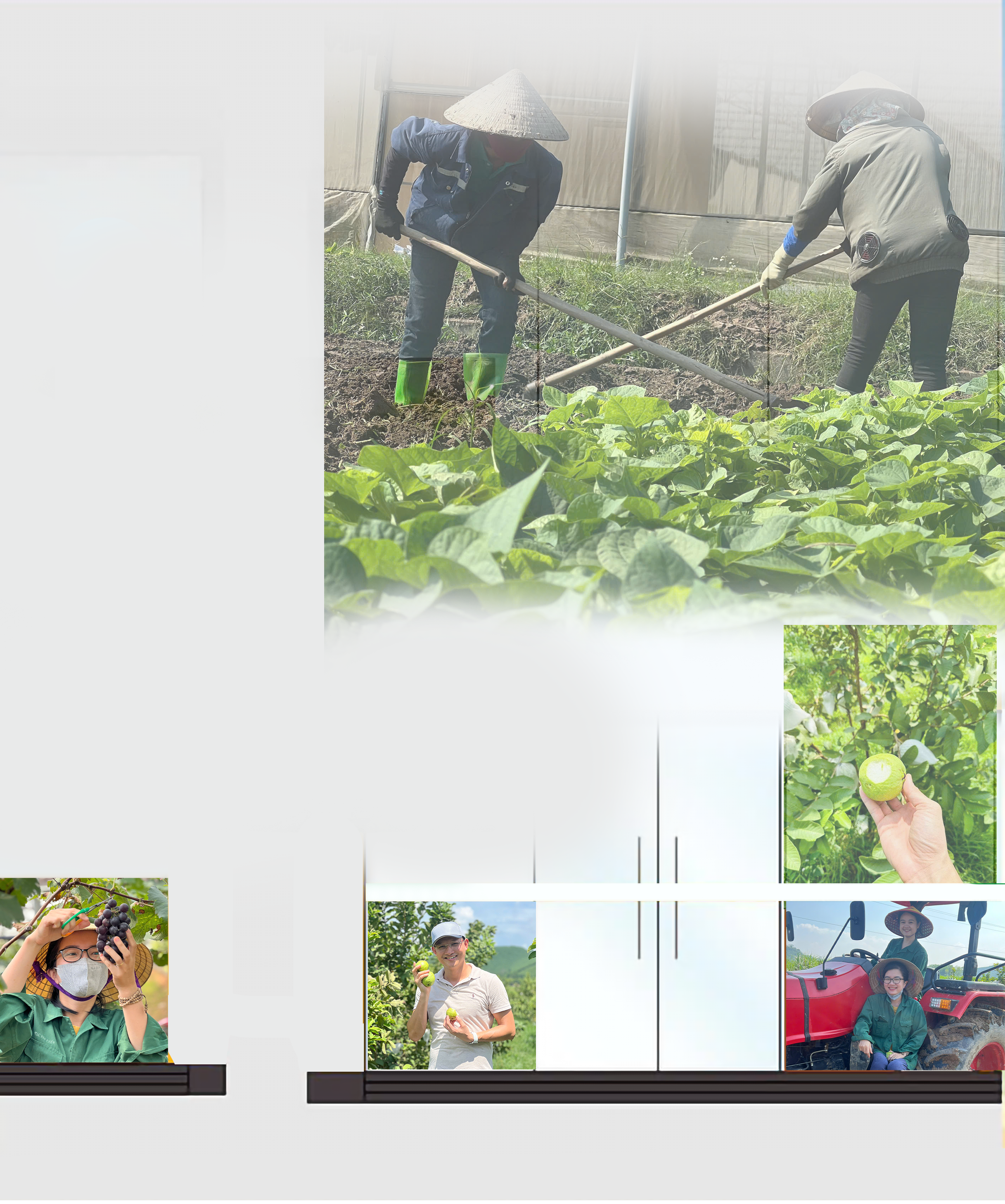 upload/baiviet/1-8554.png