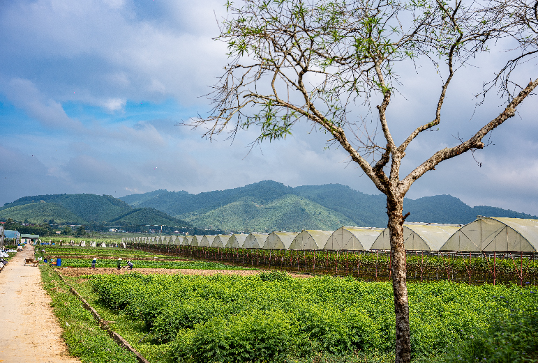upload/baiviet/tu-hao-2-448.jpg